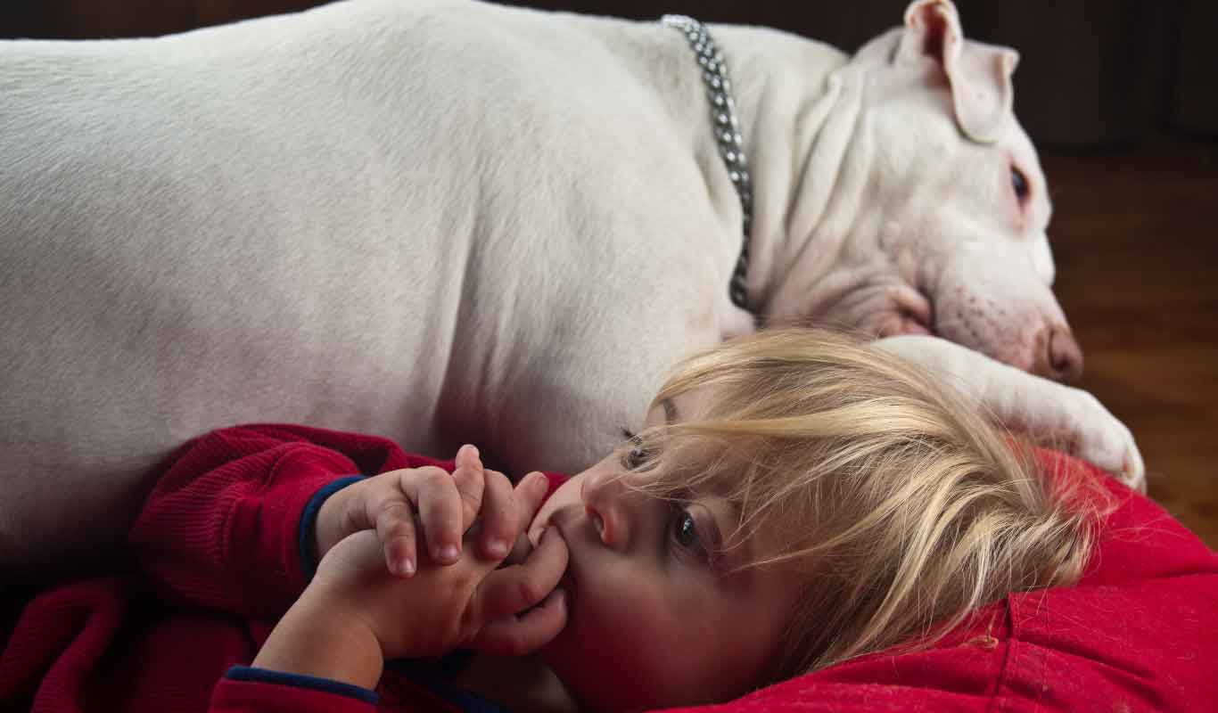 A guide to choosing the perfect bean bag